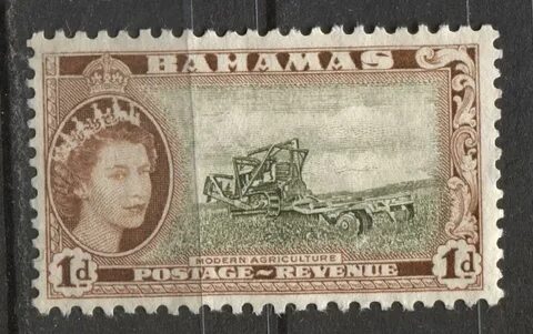 1 1954