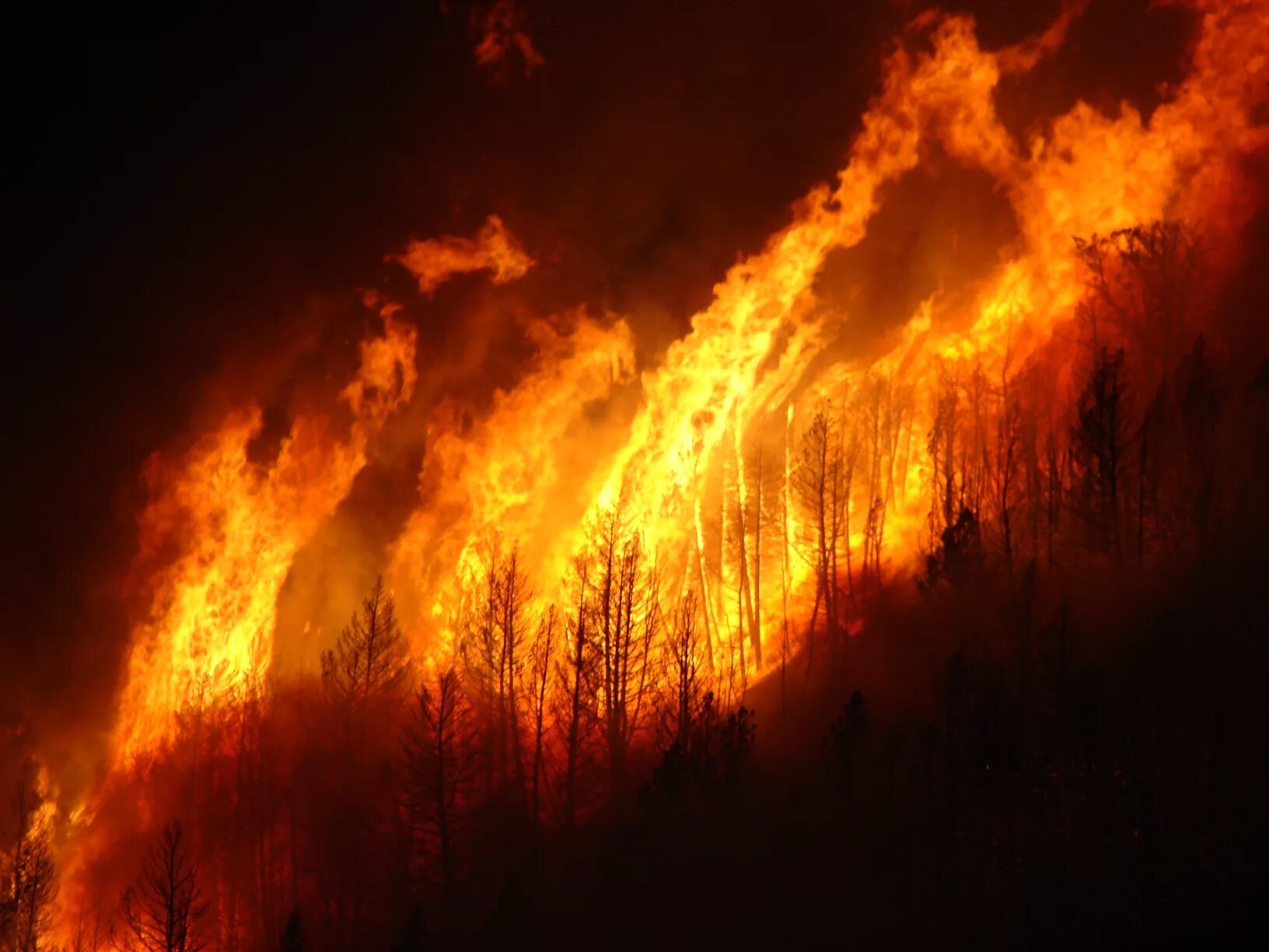 зарево огня. красное зарево пожара. месяц как зарево пожара начинает. месяц как зарево пожара начинает. лесные пожары в австралии.