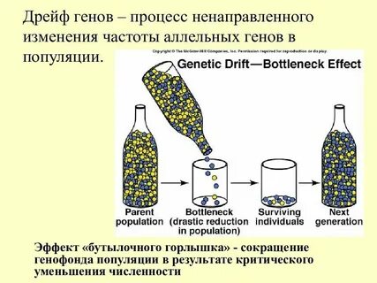 Случайное изменение генов это