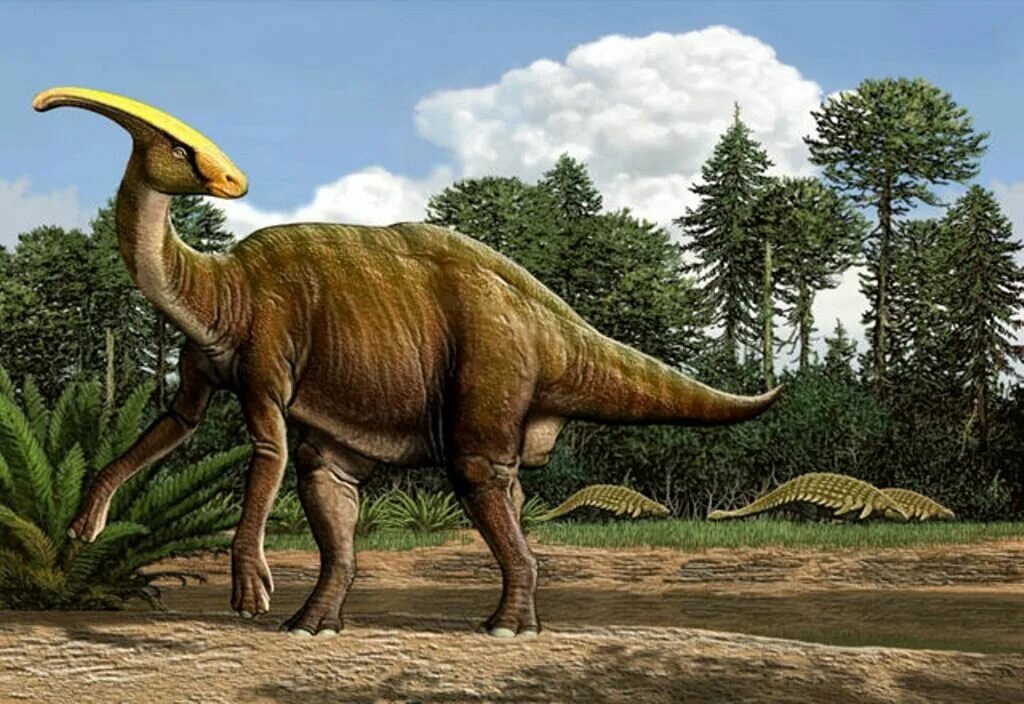 Самый травоядный динозавр. Травоядный динозавр Паразауролоф. Паразауролоф доисторический парк. Гадрозавр динозавр. Паразауролоф парк Юрского периода.
