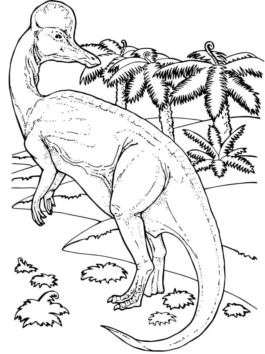 Раскраски динозавры а4. Динозавры Юрского периода раскраска. Динозавры для раскрашивания парк Юрского периода. Раскраски динозавры Jurassic World. Раскраска Паразауролоф мир Юрского периода.