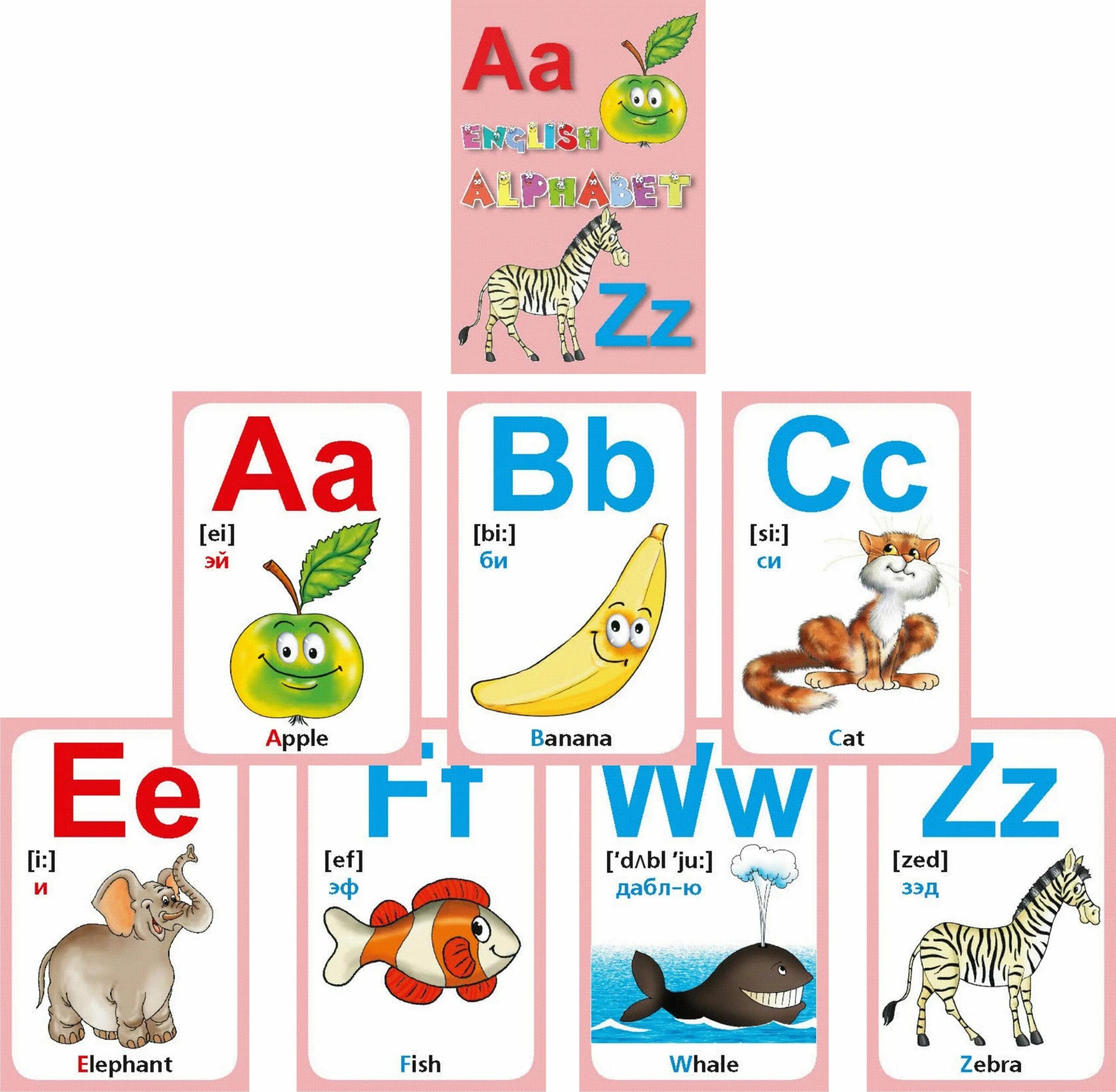 Карточки букв английский язык. Карточка английский алфавит. Английская Азбука для детей. Карточки английского алф. Английский алфавит для детей карточки.