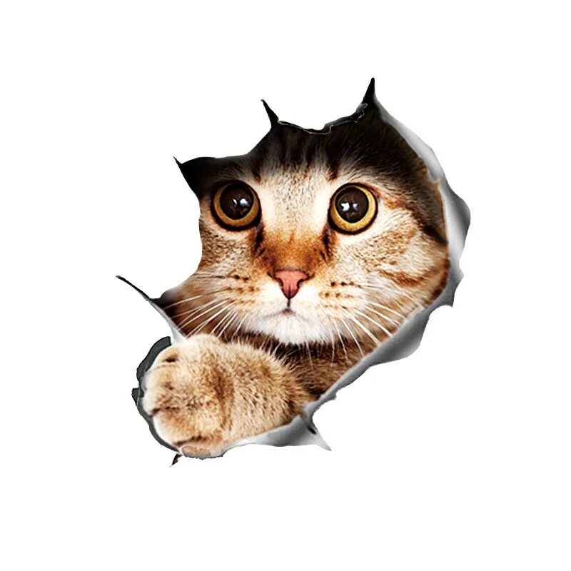 Кошка d