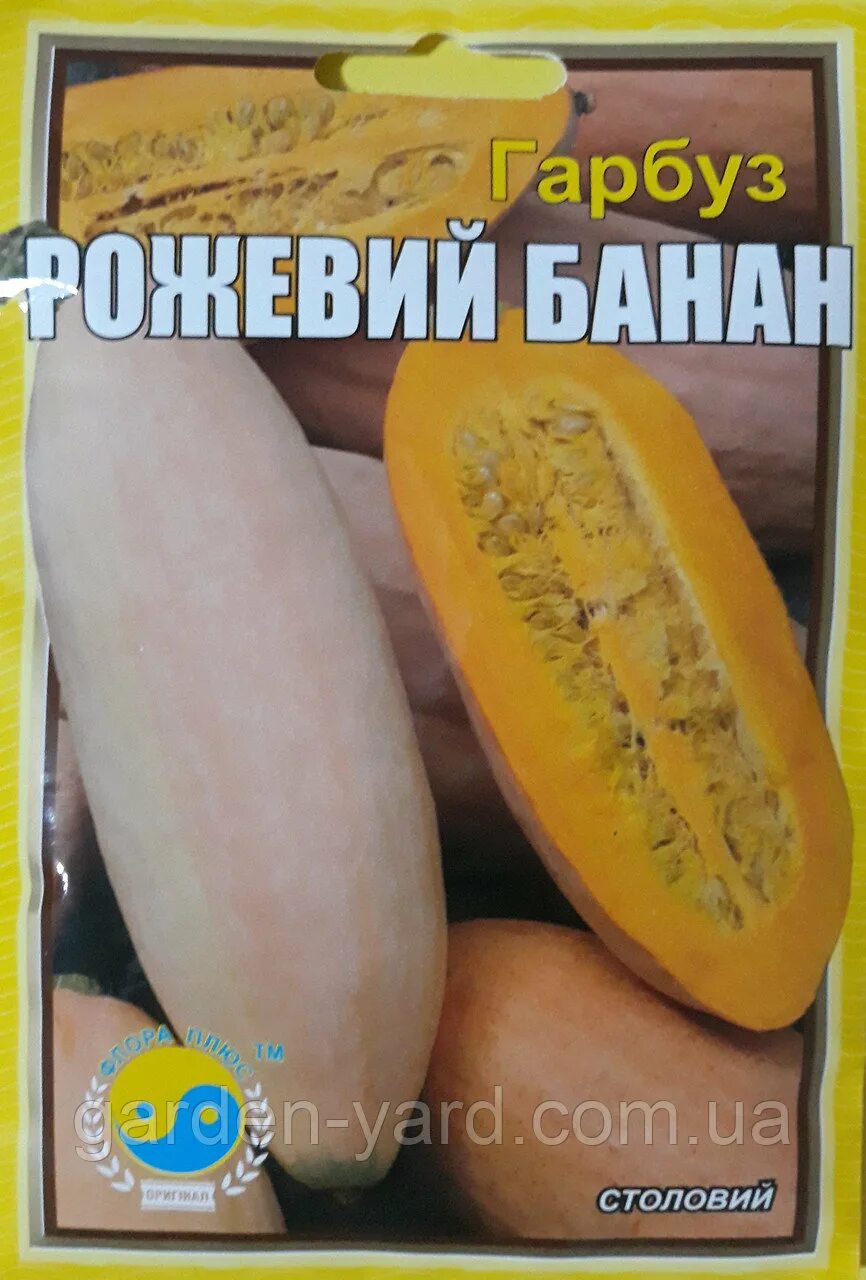 Тыква розовый банан описание. Тыква пинк банана. тыква пинк джамбо банана. тыква сорт розовый банан. пинк джамбо тыква.