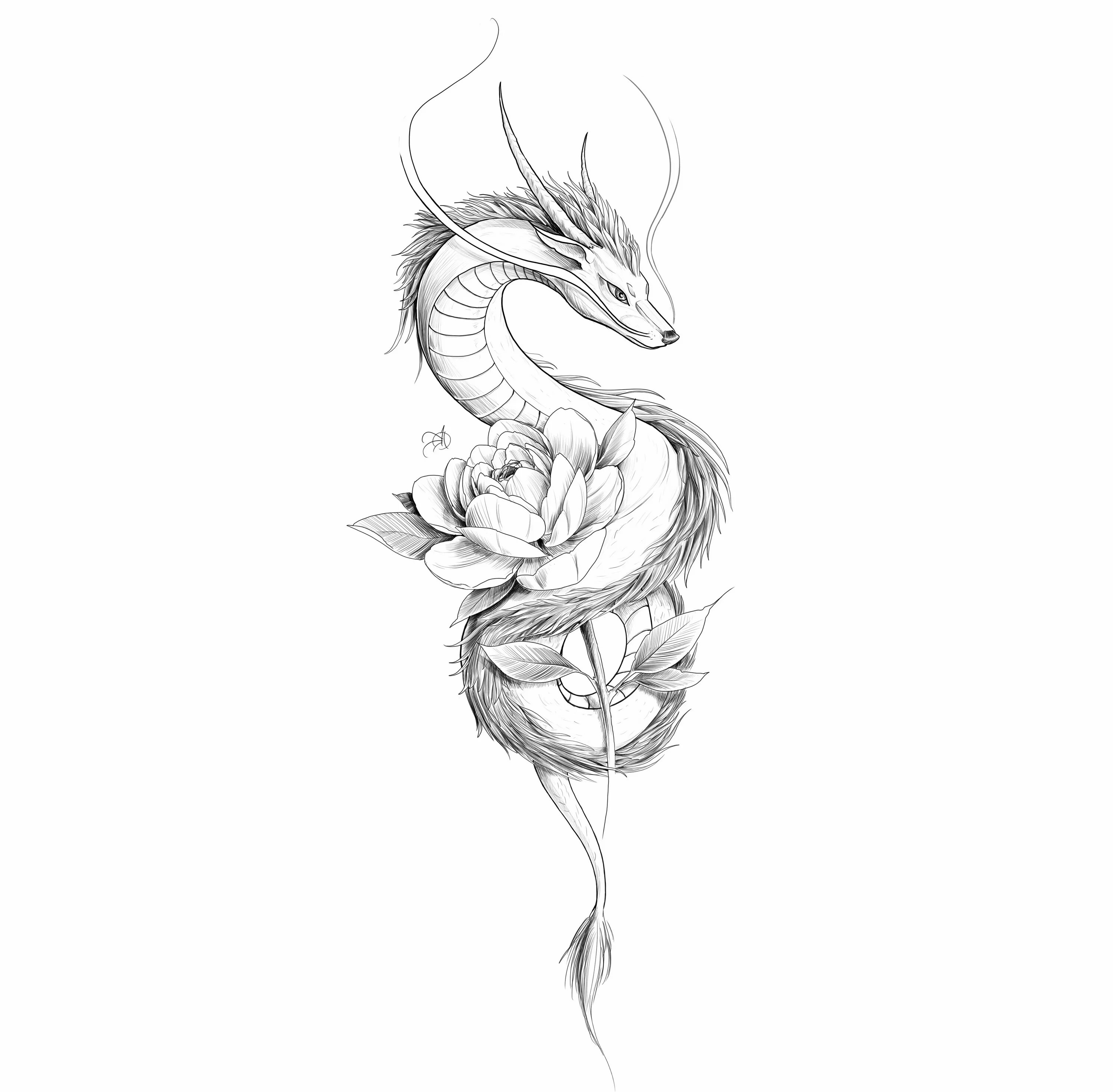 Эскиз тату дракон на руку для девушки. Тату дракон и цветы. Эскиз тату дракон на руку для девушки. Дракон с цветком эскиз тату. Тату дракон.