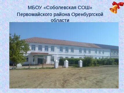 Школа соболевой