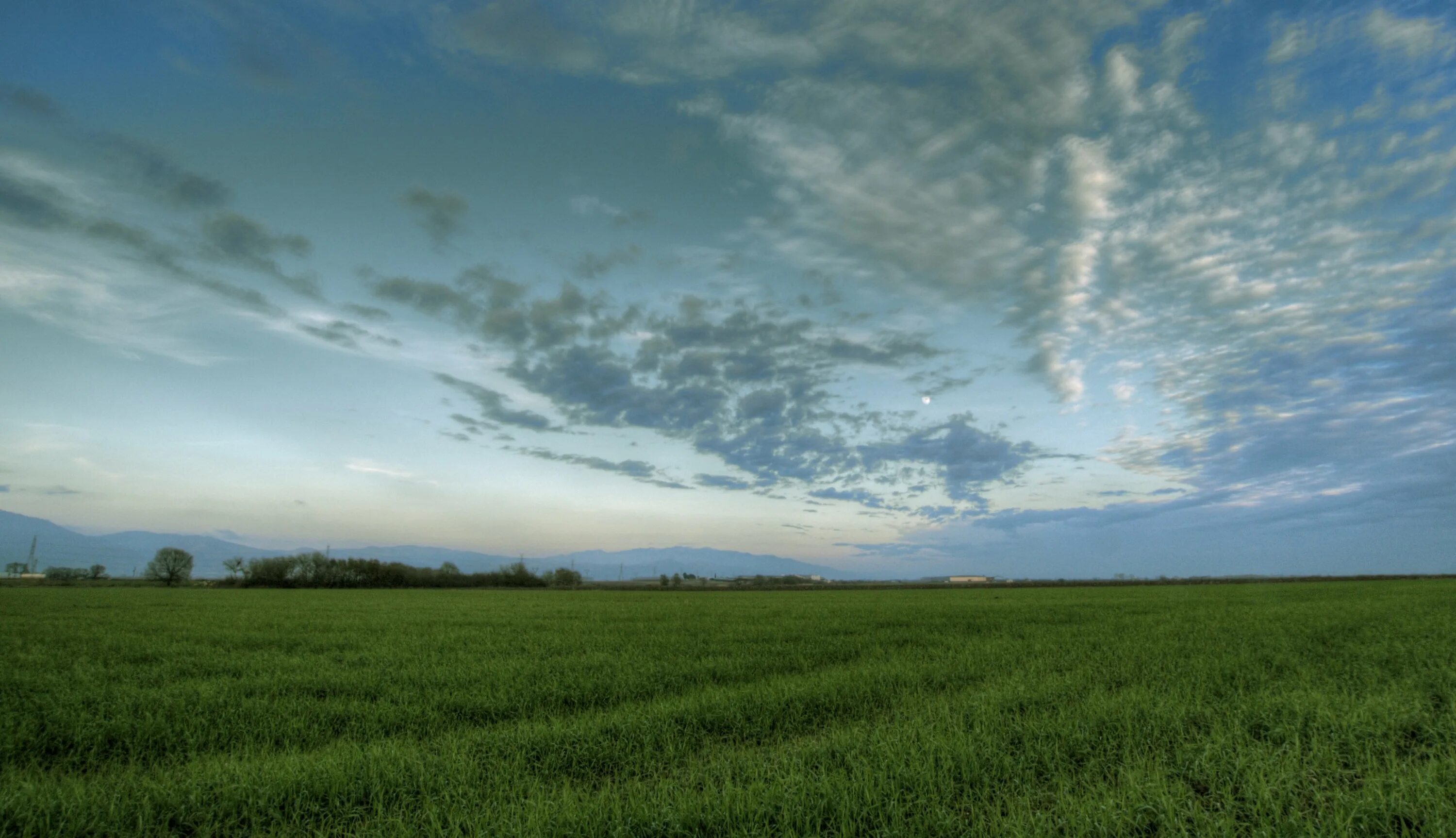 Холмистая и равнинная местность. Плоская равнина низменность. Стелются равнины. Холмистые равнины в канаде. Холмистая равнина равнина.