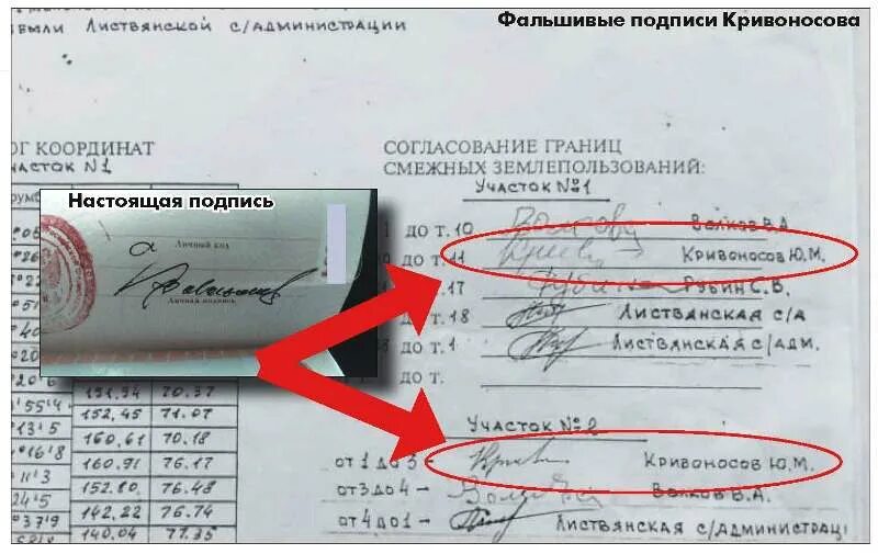 Как подделать подпись. Подделать подпись. фальшивая подпись. подпись оригинальная и поддельная. подделать роспись.