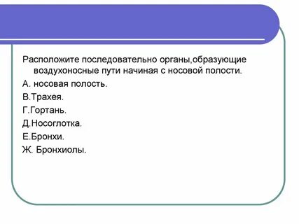 Какие органы образуют систему дыхания