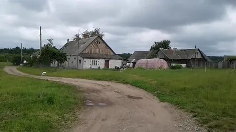 Витебском районе