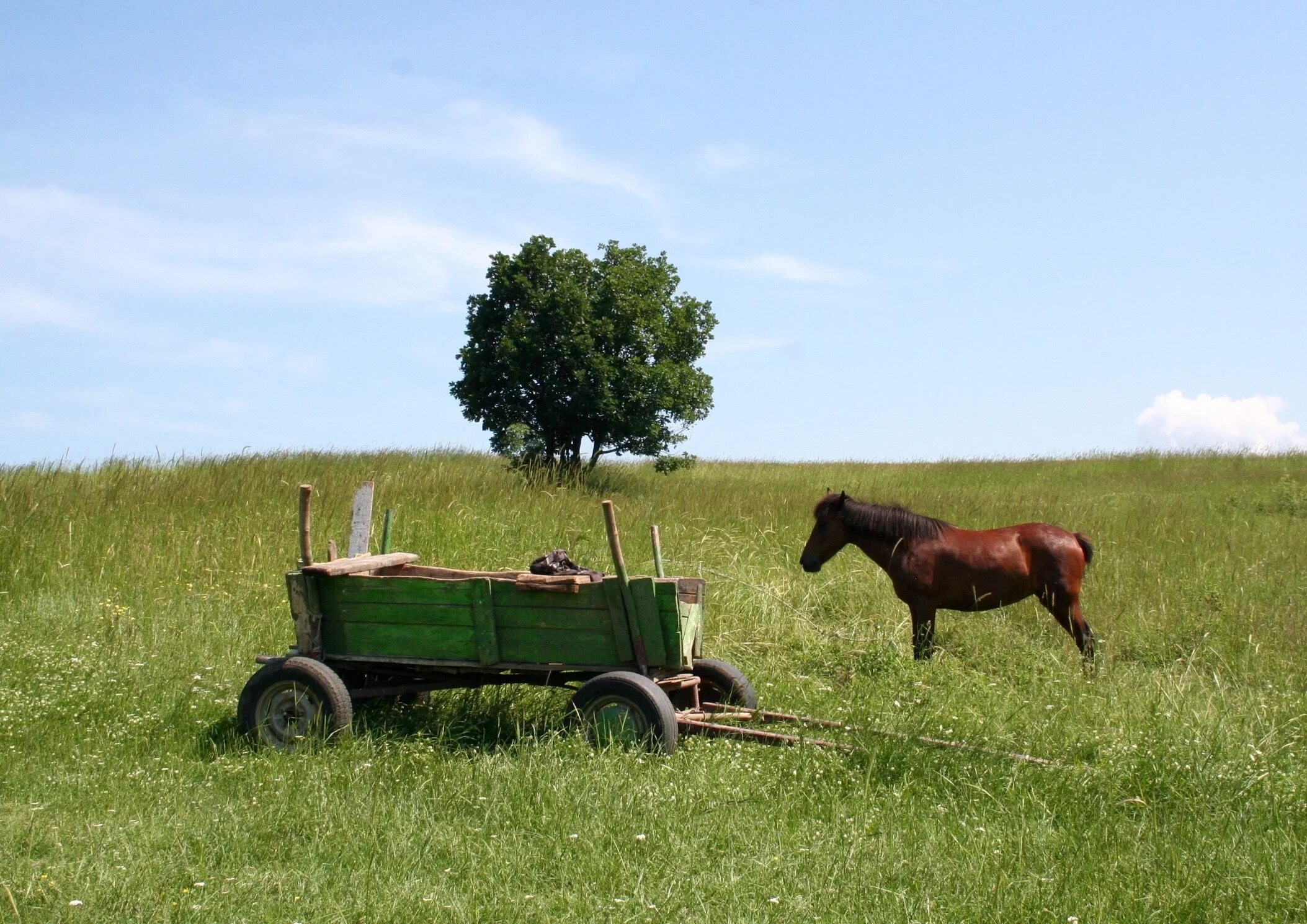 Невдалеке стояла телега. Телега с лошадью. Телега с лошадью в поле. Телега деревенская. Конная телега.