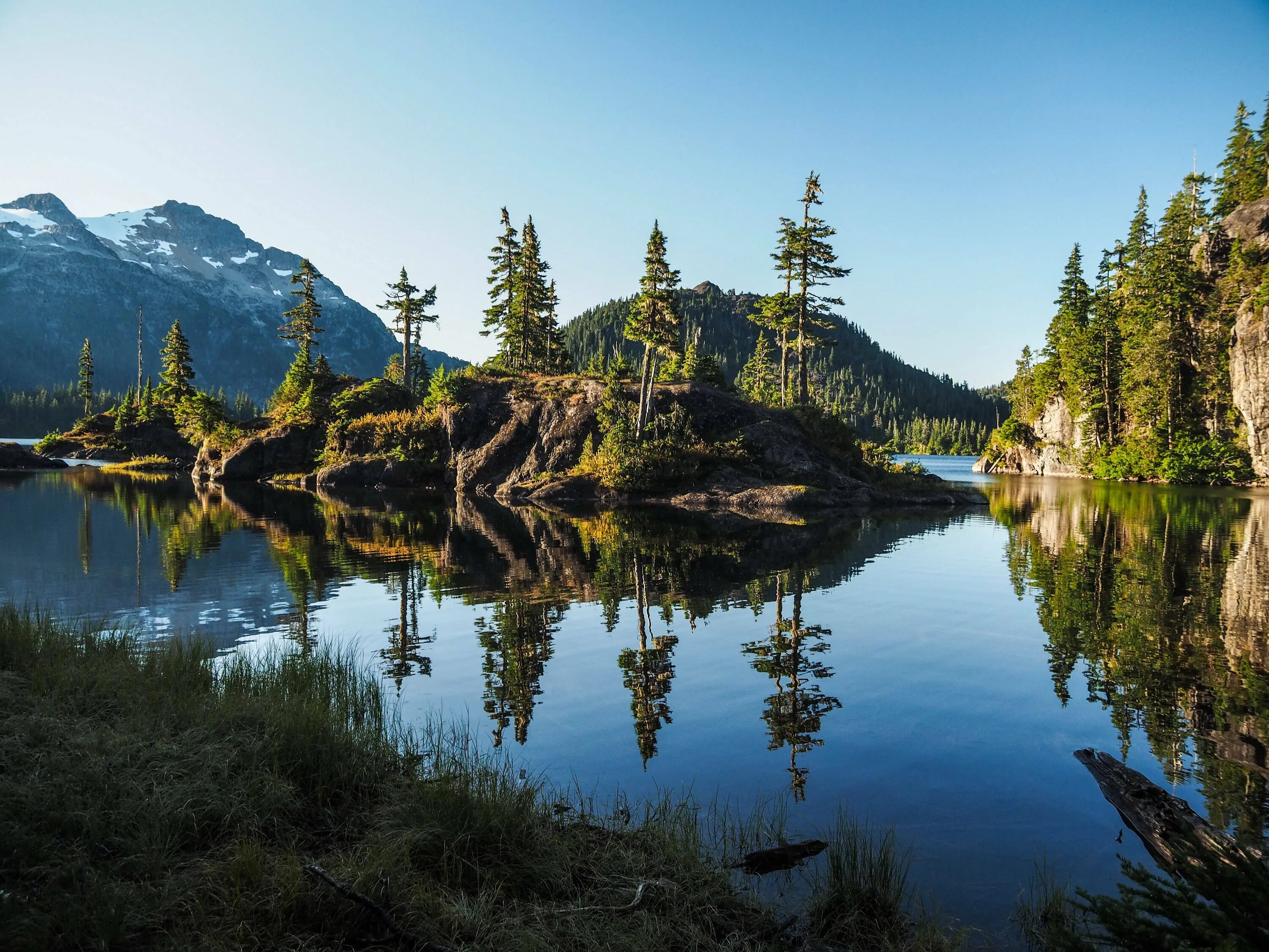 Британская Колумбия остров Ванкувер. Британская Колумбия British Columbia Канада. Канада леса Британская Колумбия. Ванкувер Исланд. Британская колумбия это