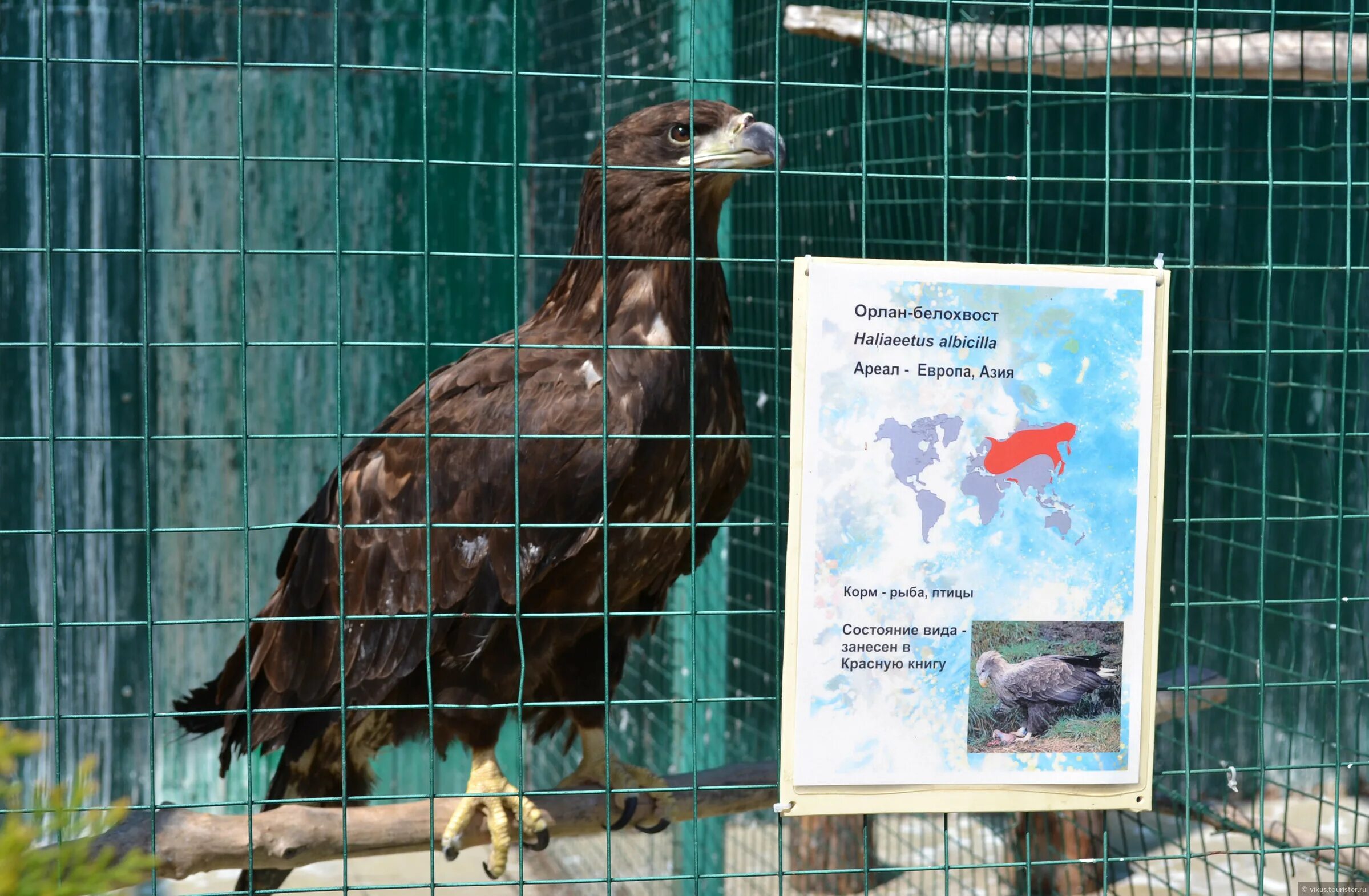 Самарский зоопарк ново садовая 146. Самарский зоопарк Самара. Самара Ново-Садовая улица 146 Самарский зоопарк. Ботанический сад зоопарк Самара.