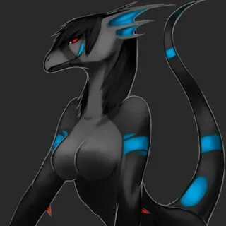 Furry dragon