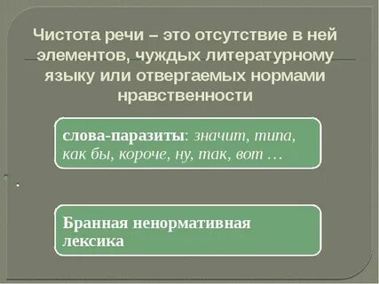 Элементы чуждые литературному языку