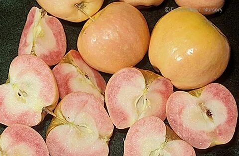 Apple pearl