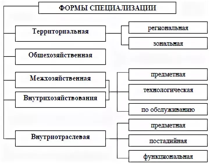 Современные формы производства. Формы специализации производства. Формы специализации цехов производств предприятий. Формы специализации сельскохозяйственного производства. Показатели специализации.