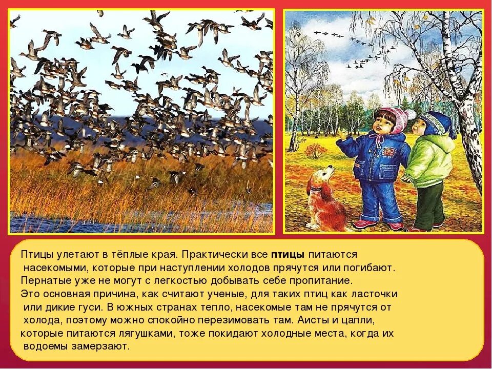 Улетели какое время