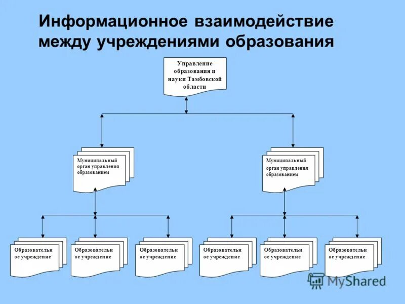 1 организация управления высшим образованием. 1 организация управления высшим образованием