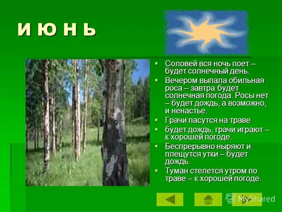 Народные приметы на завтра что нельзя делать. Приметы июня. Народные приметы. Июнь приметы месяца. Календарь народных примет о погоде.