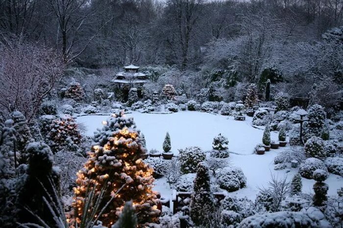 50 Amazing Winter Garden Landscape - SWEETYHOMEE Winter garden, Garden landscapi