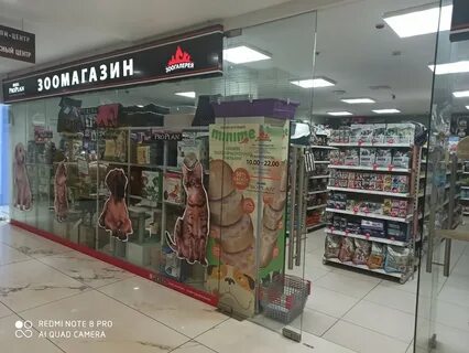 Зоогалерея адрес