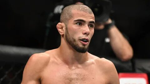 Мухамед мокаев ufc