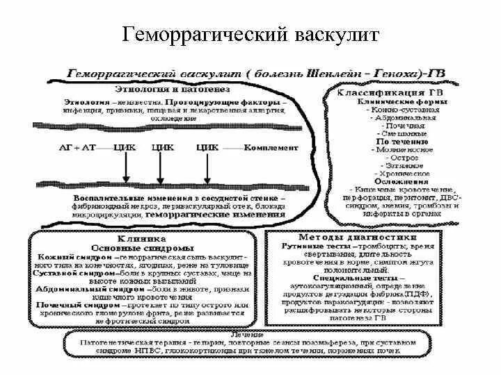 Васкулит патогенез. Геморрагический васкулит механизм развития. Геморрагический васкулит патогенез. Геморрагический васкулит патогенез схема.