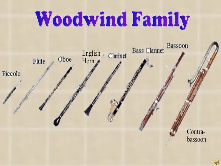 Флейта какая группа. Woodwind family. разновидность гобоя английский. по английскому флейта. флейта на английском.