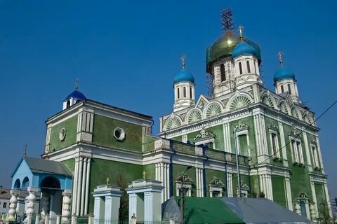 Зеленая елец