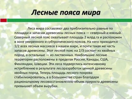 Главные лесные пояса планеты