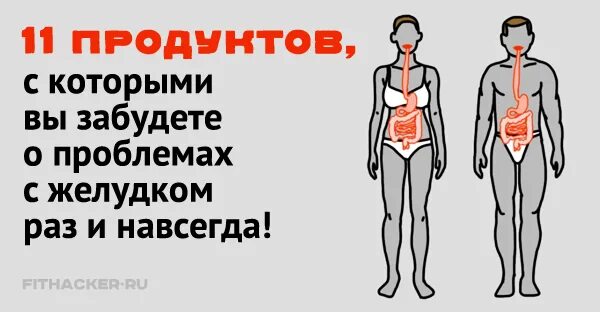 Что есть при проблемах с желудком. Что есть при проблемах с желудком