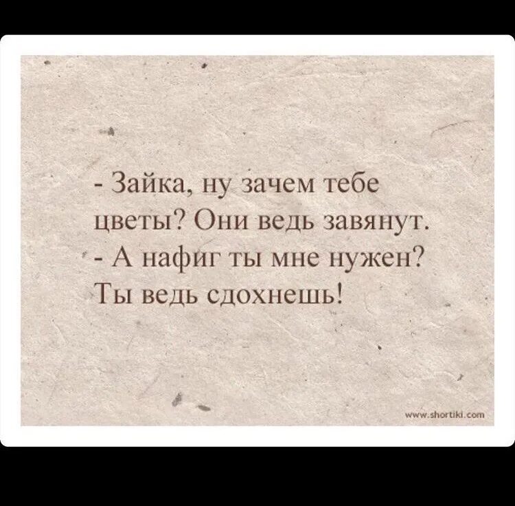 Зачем тебе цветы. Зачем дарить цветы они же завянут. Не Дарите мне цветы они завянут. Зачем дарить цветы они все равно завянут. Ешь пока рот