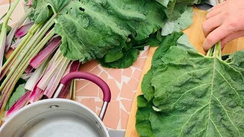 Какой стороной лопуха