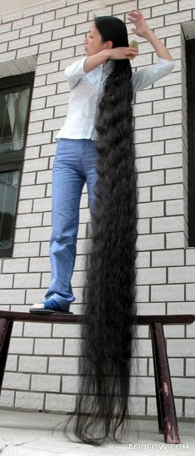 Самые длинные волосы в мире се Цюпин. Левушка с самыми длянными волосамм. Самые длинные волосы у девочек. Samye Dlinnoe volosy.