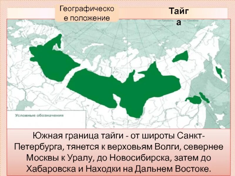 Границы зоны тайги в россии