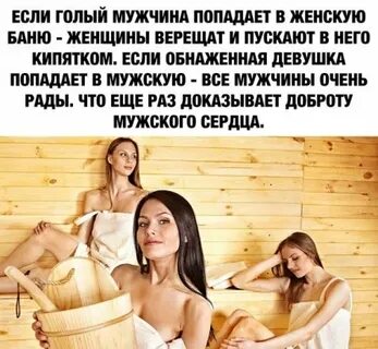 Хвостатое счастье про баню и бусю