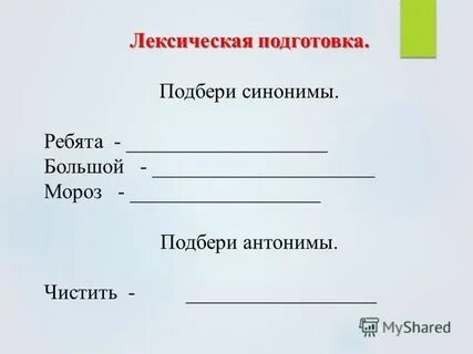 Изложение каток