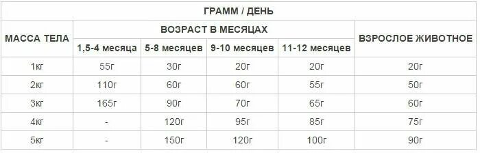 Сколько нужно давать корма кошке в день