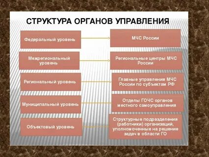 Состав органов управления го