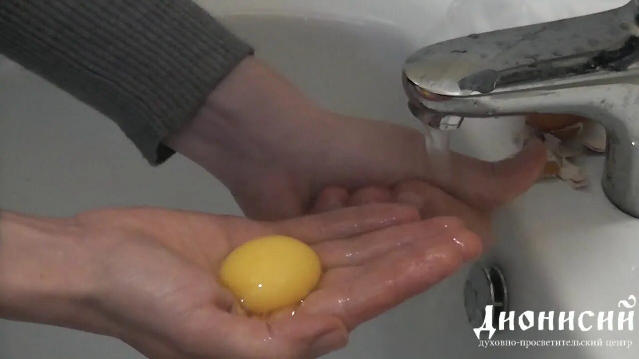 Эмульсия яичного желтка cas. Эмульсия желтка. Яичная эмульсия. Яичный шампунь в тюбике. Эмульсия желтка.