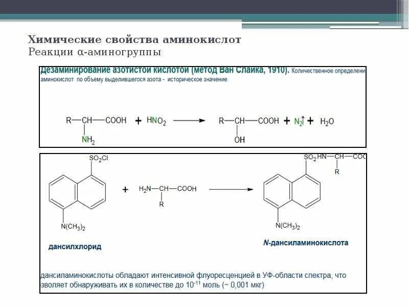 Количественный метод определения белка. Количественные реакции на аминокислоты. метод количественного определения белков. количественные методы определения белка. колориметрический метод количественного определения белка.