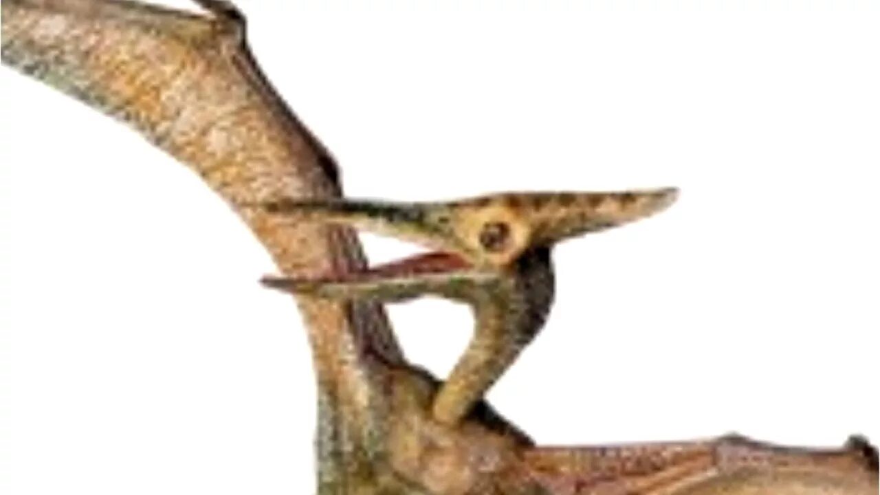 Exit code 1 pterodactyl