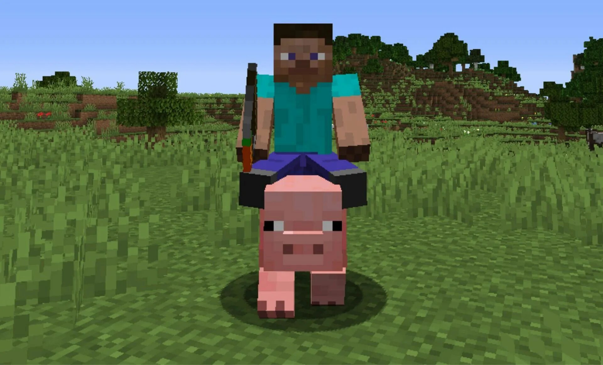 Pig riding