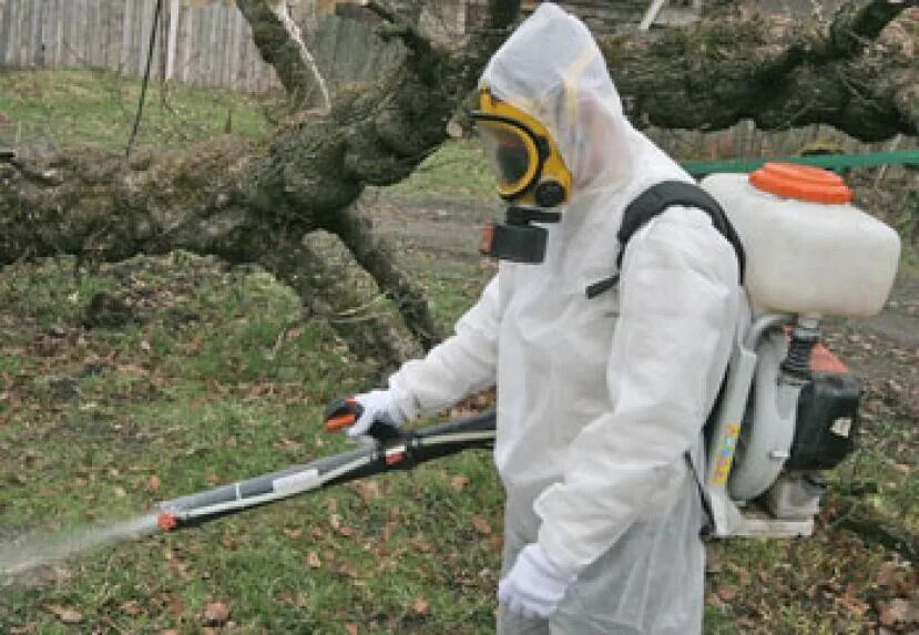 Акарицидная обработка что это. Акарицидная обработка территории. Акарицидная обработка от клещей. Дезинсекция комаров. Обработка участков от клещей.