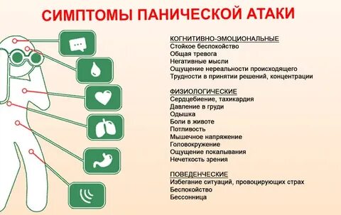 Пусть панические атаки унесут в тайгу собаки