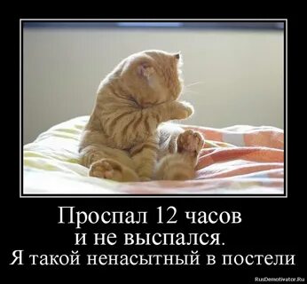 С просони как пишется