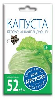 Пандион капуста отзывы