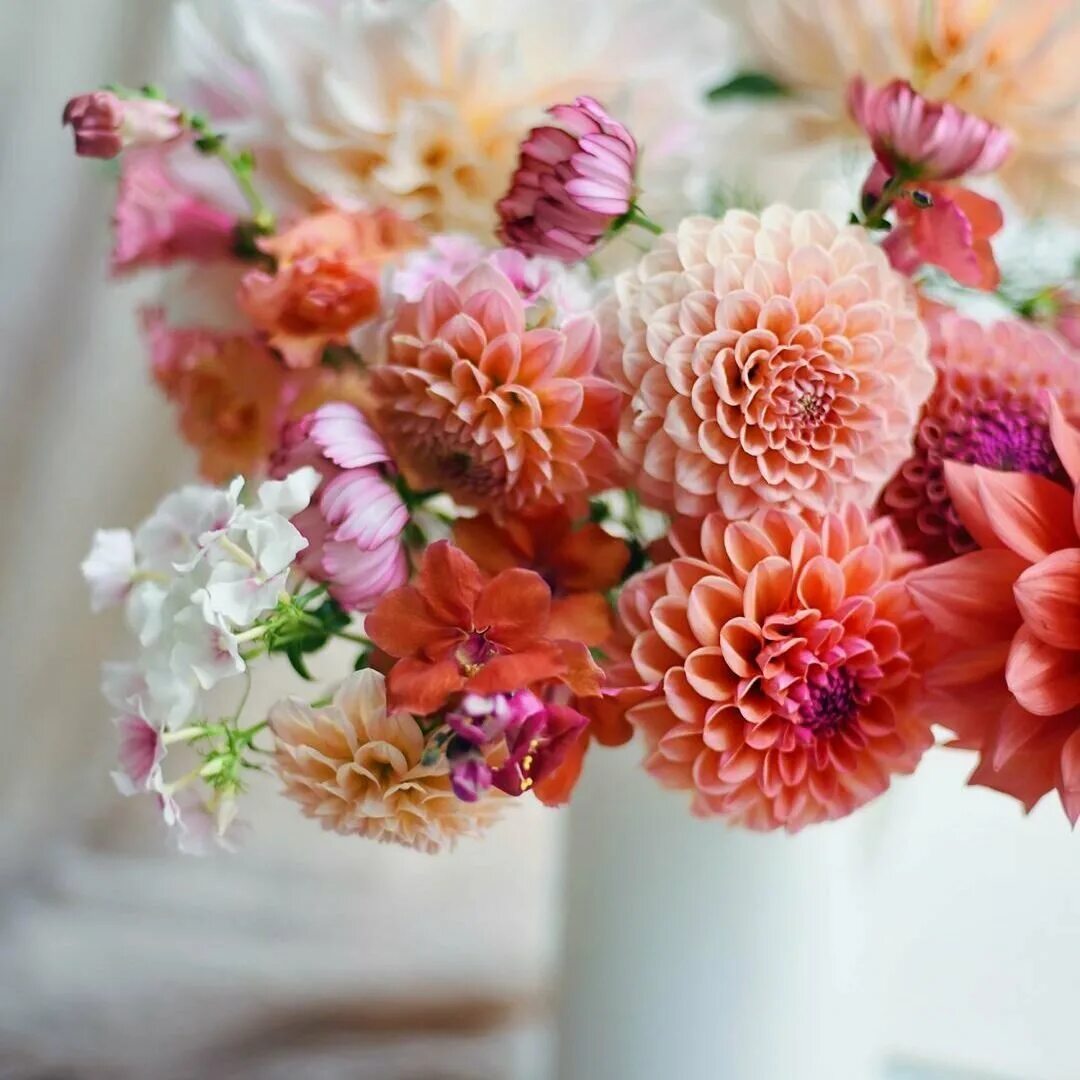 Астра хризантема георгин. Букет астры георгины. Георгины гладиолусы циний букет. Букеты цветов георгины. Букеты цветов георгины.