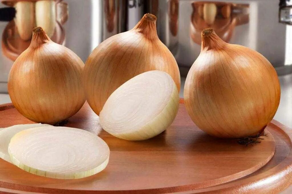 Лук репчатый и зеленый. Лук репчатый карамель. Лук на белом фоне. Чем полезен лук репчатый. Лук репчатый жиры.